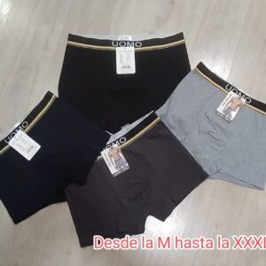 boxer