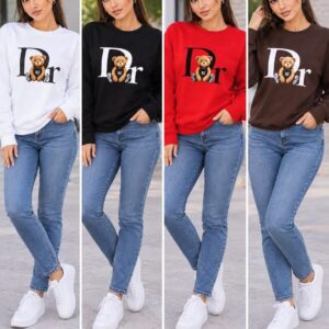 Sudadera inspiración Dior .